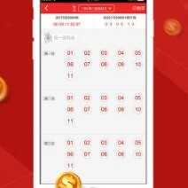 天天彩免费资料大全正版查询澳门,医学_DNK50.865目击版