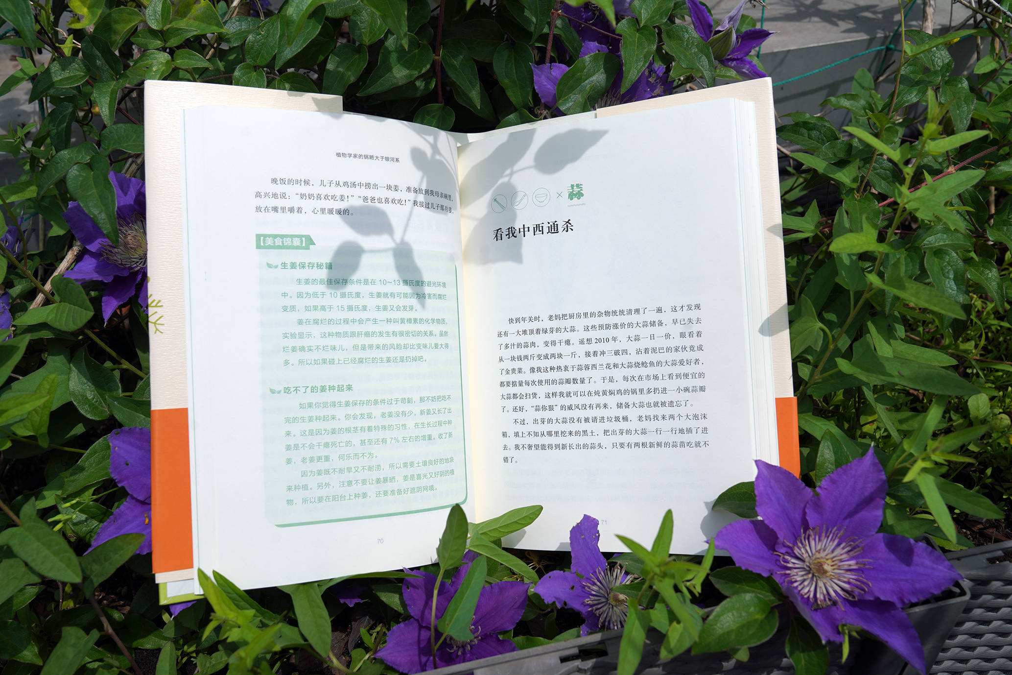 精准49码资料大全,科学分析严谨解释_QAE29.361品牌版