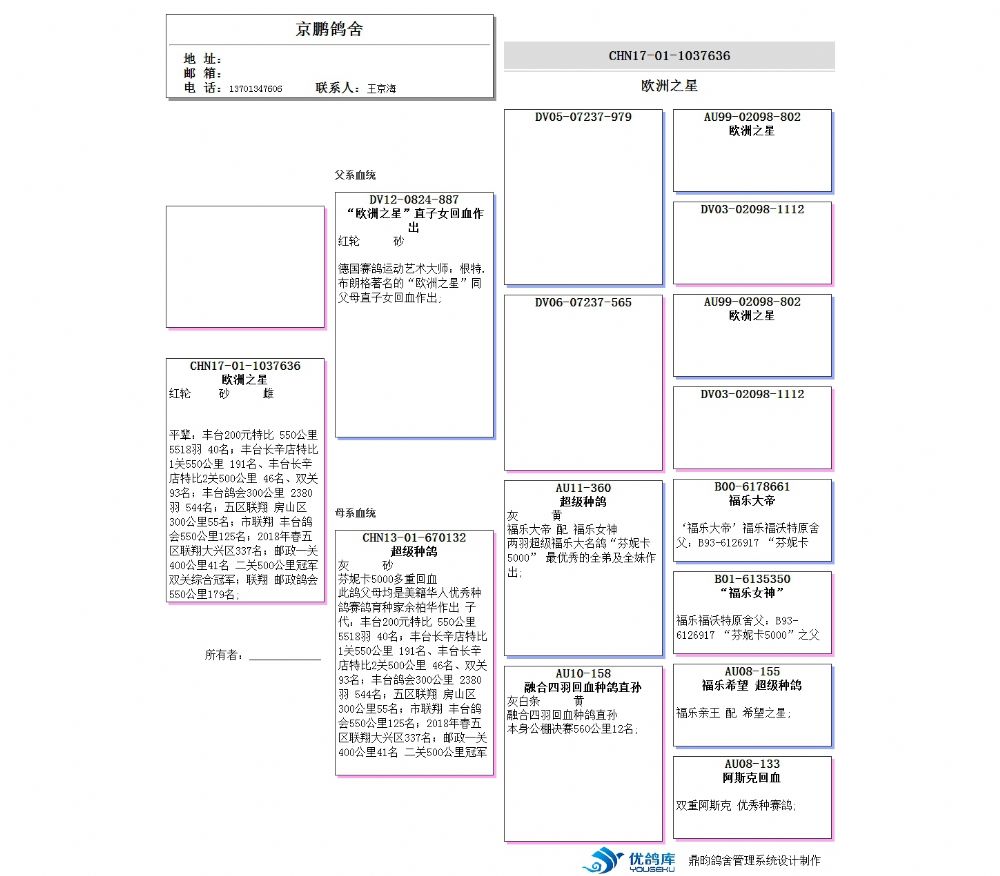 白小姐资料认证网让199768com,高效执行方案_PER29.560极限版