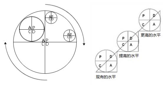 雷锋站长独家心水参考十八码,平衡执行计划实施_WSS50.176方案版