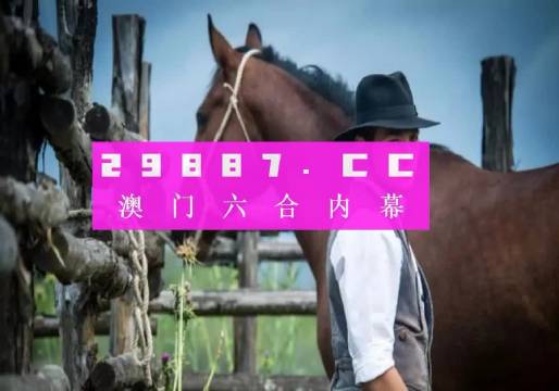 奥门一肖一码一中一,专业数据解释设想_MMH29.862学院版