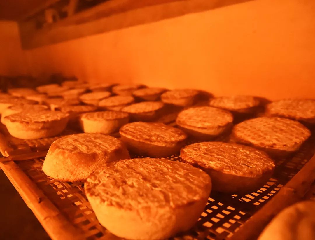 今晚澳门特马开什么号码342,动态解读分析_TVJ50.482品牌版