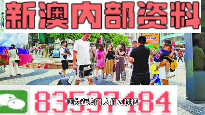 2024新澳精准资料免费提供,澳门内部,数据引导执行策略_WJT29.589收藏版