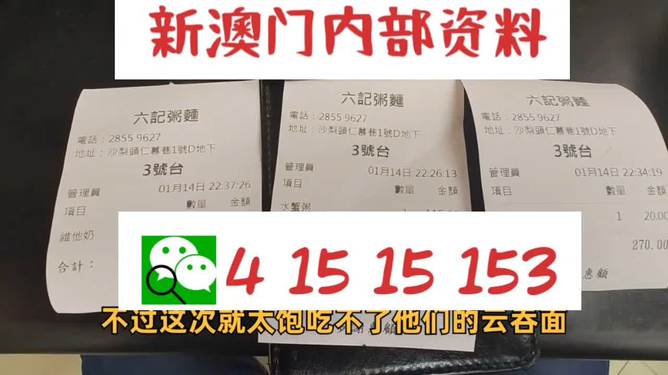 2024新澳精准资料免费提供,澳门内部,数据引导执行策略_WJT29.589收藏版