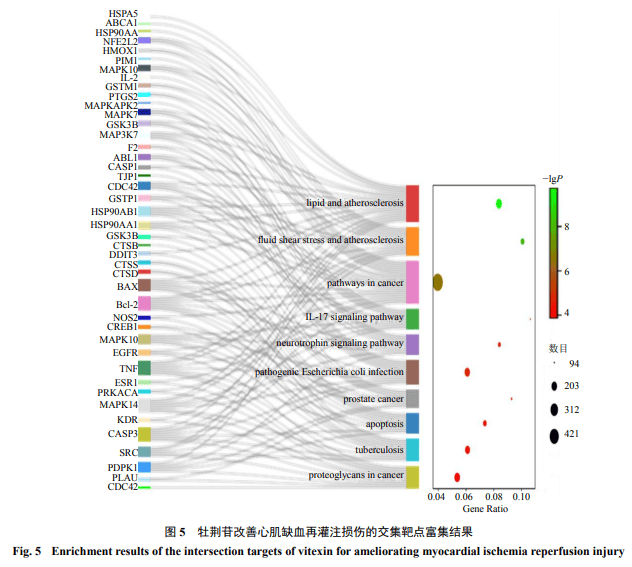 鐵算盤致力打造火热全网,物理学_QUH50.281网络版