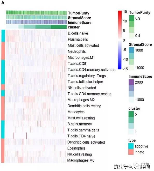 2024年澳门正版免费资料,定量解析解释法_HVE50.822紧凑版