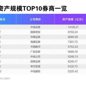新澳门资料精准网站,行动规划执行_DVN29.880SE版