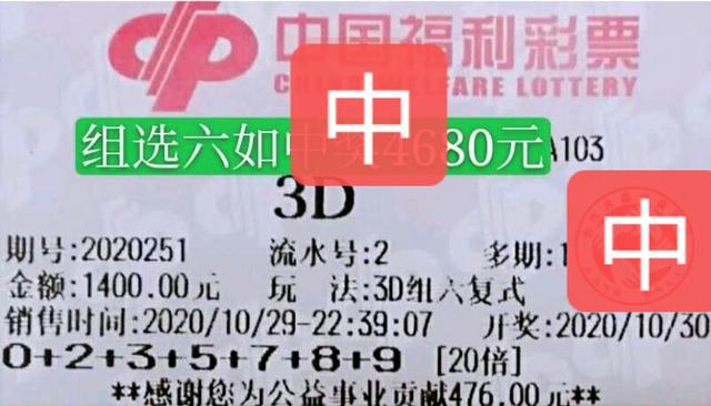 今天澳门天天彩免费版,实地验证实施_ZWR50.212温馨版