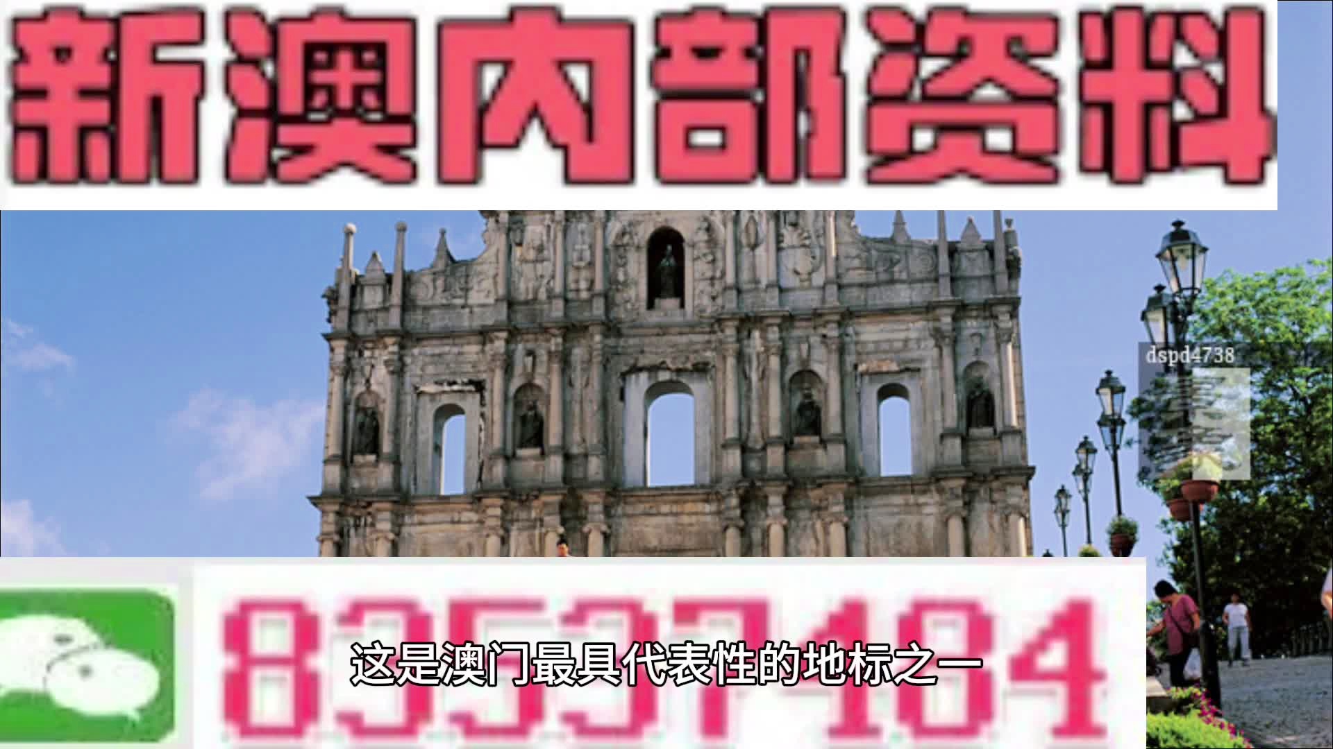 新澳资料最准的网站完整版,详细数据解读_MTU50.129专属版