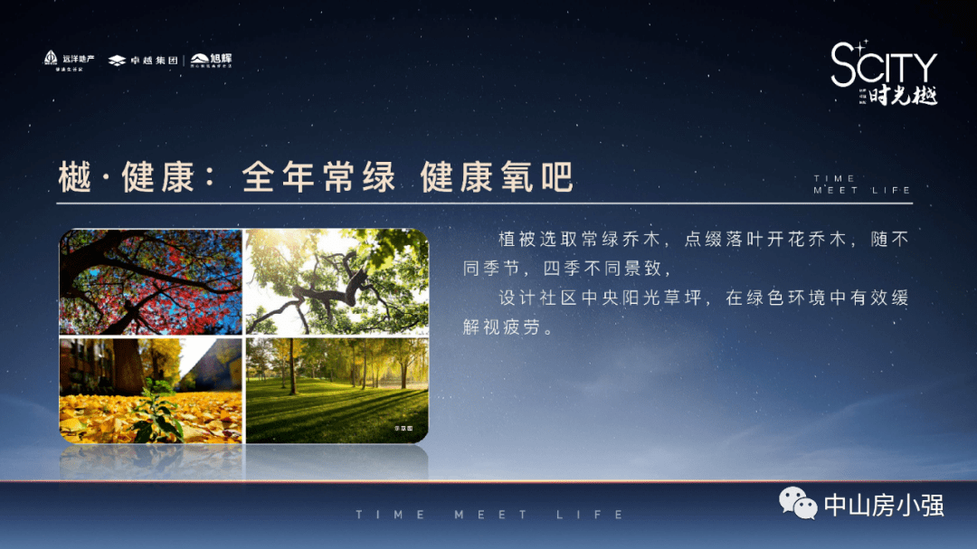2024新澳开奖结果,科学依据解析_DGD50.188便携版