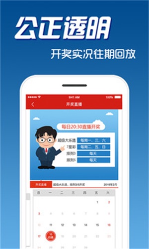 二四六天天免费资料大全部,实地观察数据设计_DHL50.960精致生活版