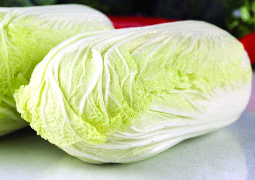 关于注册送白菜的最新探讨与观点阐述(2015年更新)