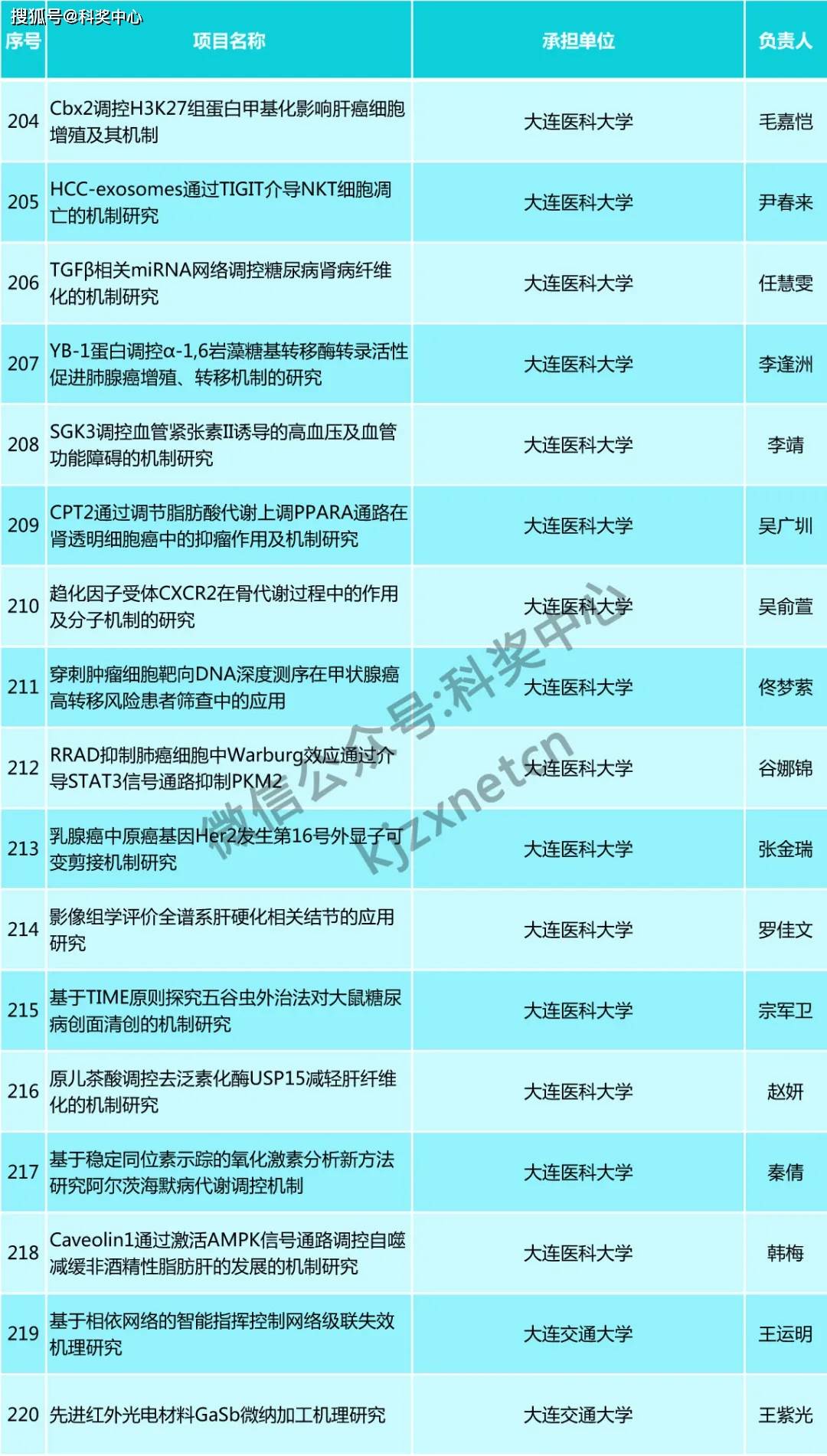 2024年澳门精准免费公开大全,理论考证解析_VAG50.124VR版