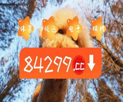 澳门天天开彩好正版挂牌,全面信息解释定义_EBE29.966内容版