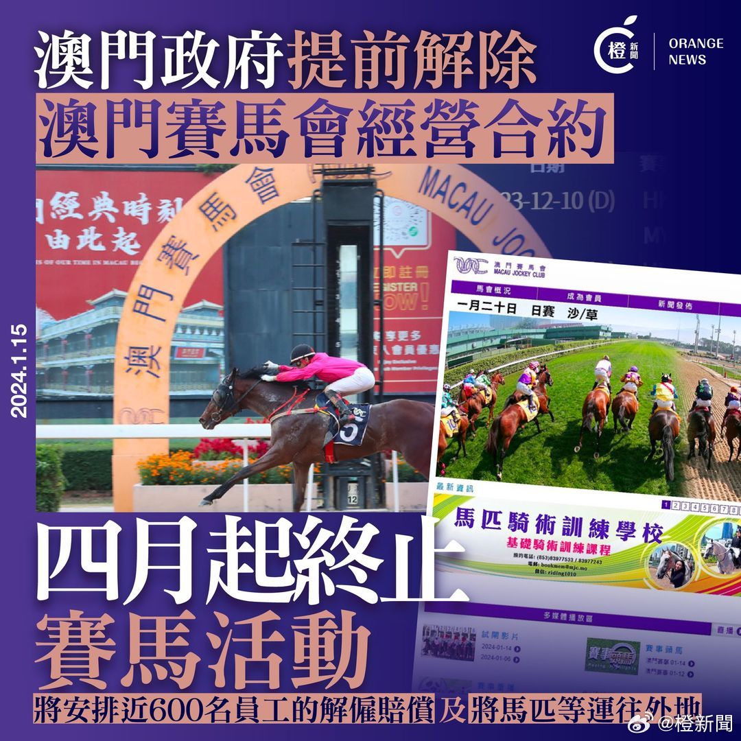 今晚上一特中马澳门,现代化解析定义_HRL29.538优先版