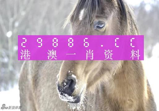 澳门一肖一码100准最准一肖,科学解释分析_RRK29.396超级版