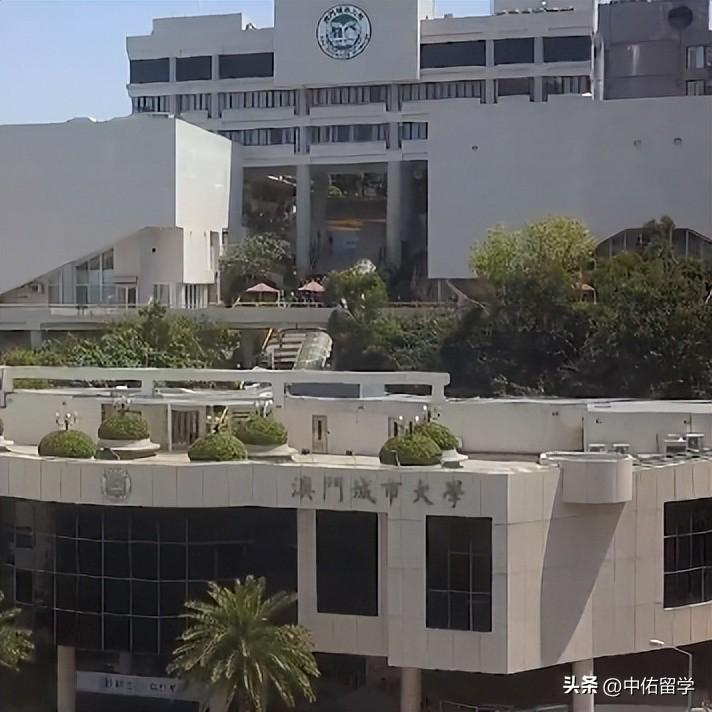 2024新澳门正版挂牌,精准解答方案详解_XOD50.124安全版