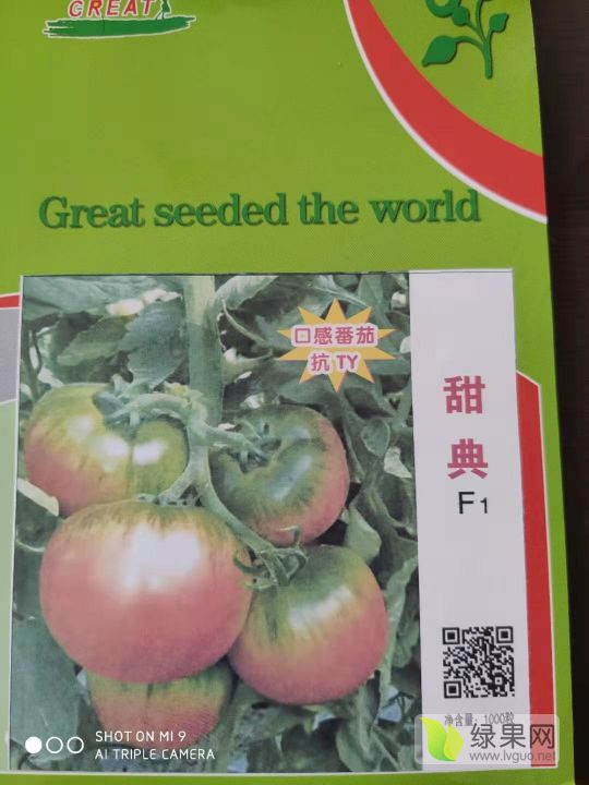 山西西红柿最新价格,市场走势与种植户收益深度解析