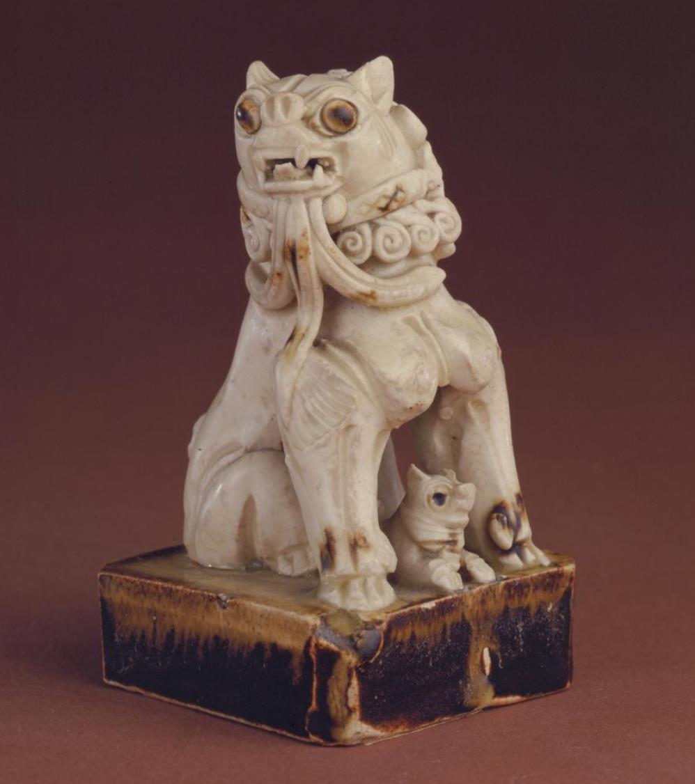 最新动物世界狮子视频，自信与成就感的启示