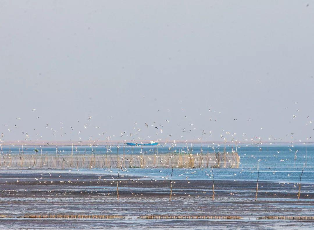 仙藏最新章节,仙藏最新章节,探索神秘世界的奇幻之旅