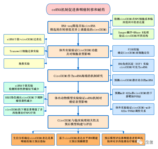 吹膜环评 第215页