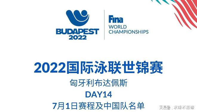 新澳门2024今晚开什么,实地验证研究方案_FWF49.553性能版