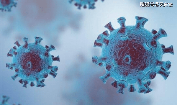 新澳门免费资料大全使用注意事项,專家解析意見_GTV49.443加速版