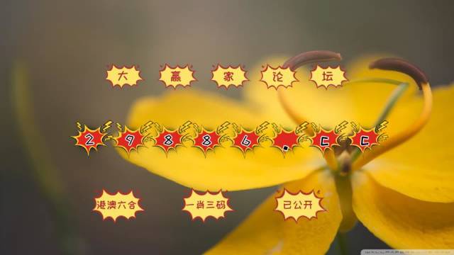 新澳门4949正版大全,最新碎析解释说法_WBL49.706动态版