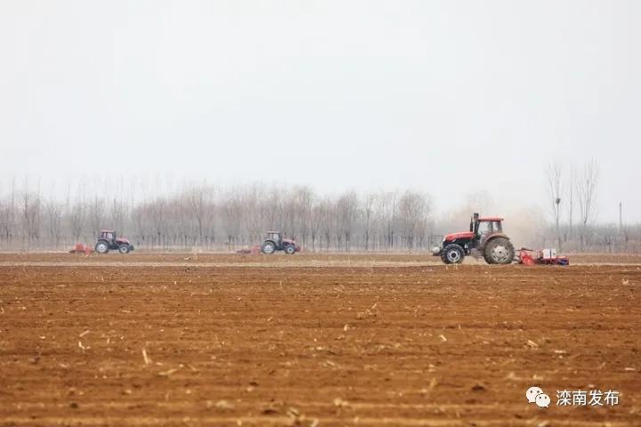 滦南蒙牛最新招聘信息发布