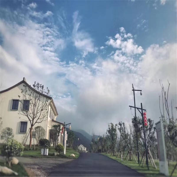 管家婆资料大全十开结果,全面信息解释定义_OWS49.558并发版