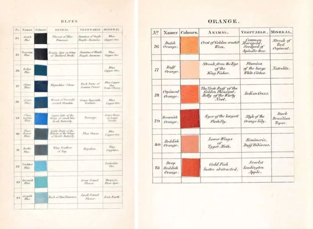 新澳门彩历史开奖记录,深入研究执行计划_GVV49.593投影版