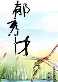 郁秀才最新阅读体验，科技革新引领生活新纪元