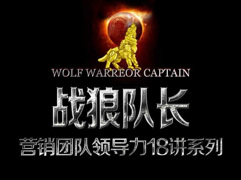 新澳战狼团队资料,专业解读方案实施_OQS49.448开放版