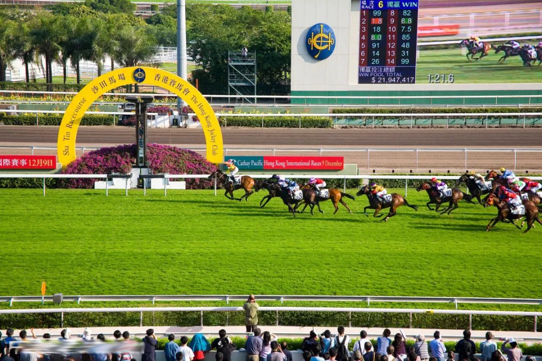 香港六合202427333,数据解析引导_LQC49.897校园版