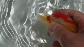 吹膜环评 第191页