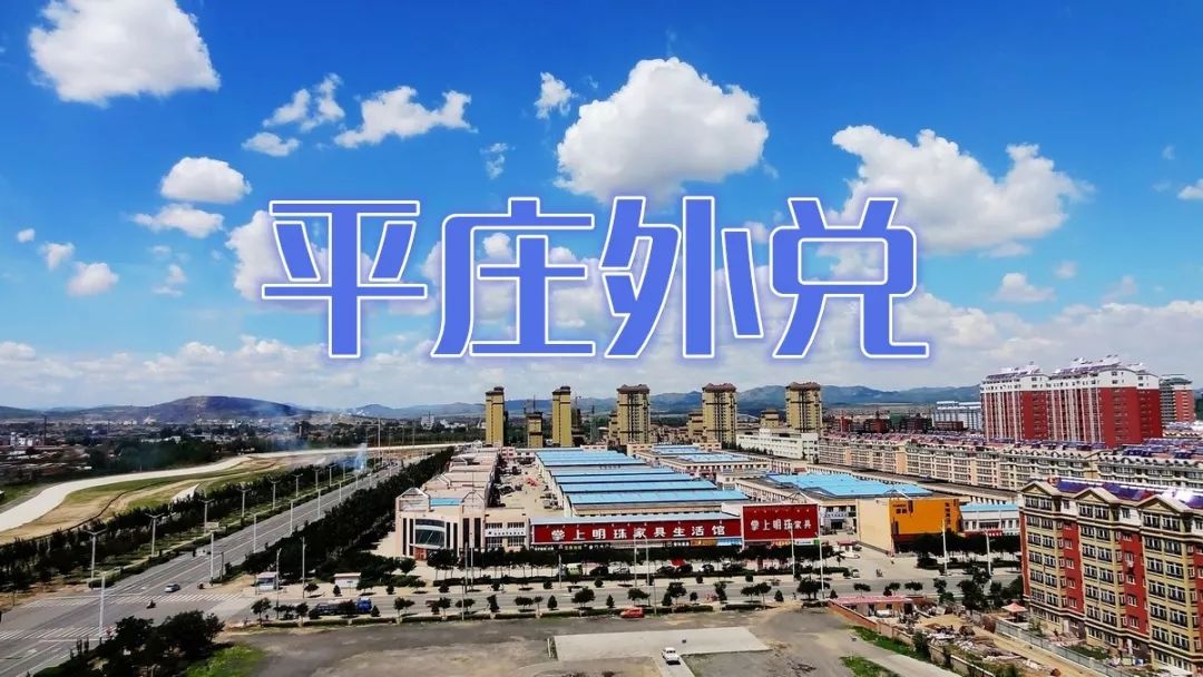 新县西亚最新招聘信息，友情纽带与职场奇遇的交汇点