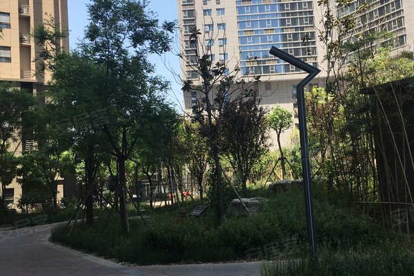 临沂意林公馆最新动态揭秘,自然美景探索之旅启程