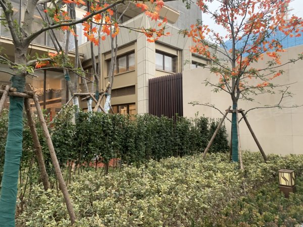 金融街壹号最新价,获取与理解指南全解析