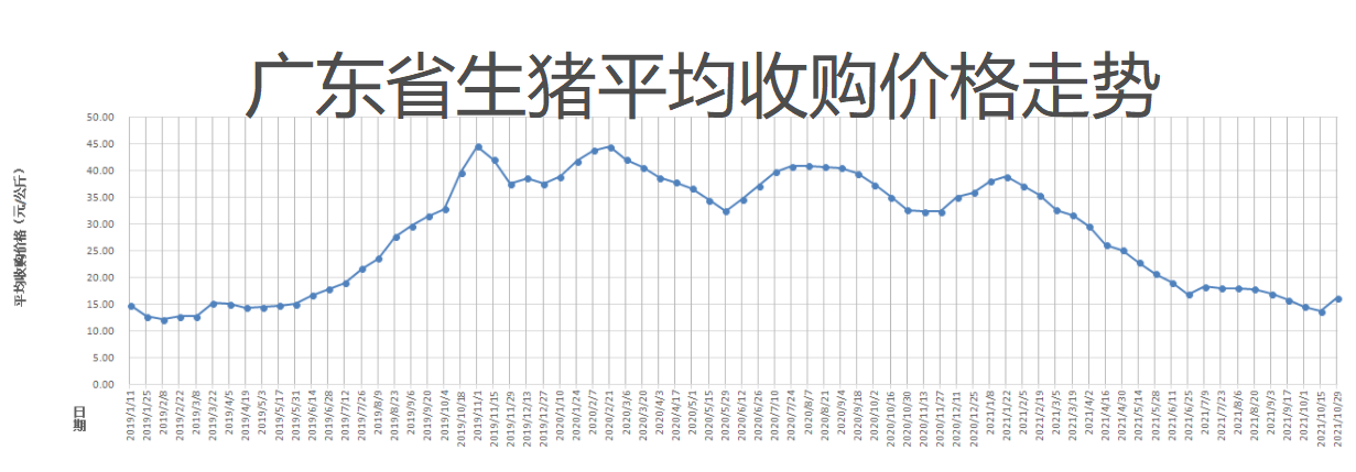 广东今日生猪价格动态，最新行情解析与行情解析🐖📊