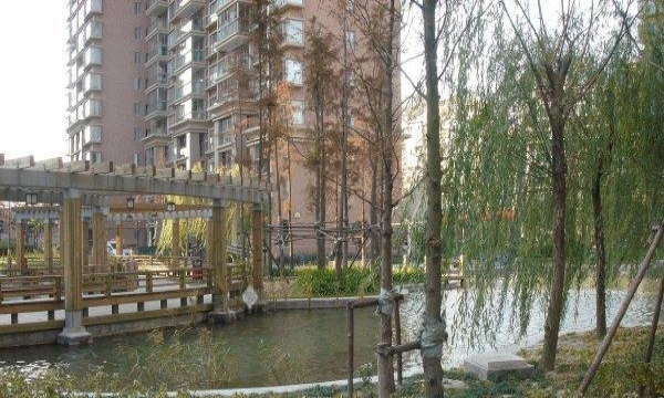 乐颐小镇最新房价解析,观点阐述与深度探析