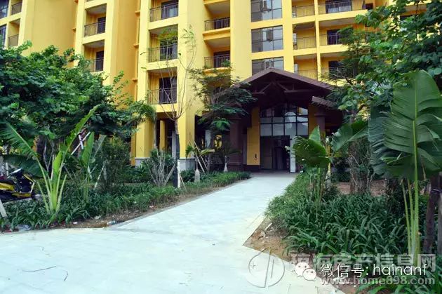 琼海海逸广场最新资讯更新