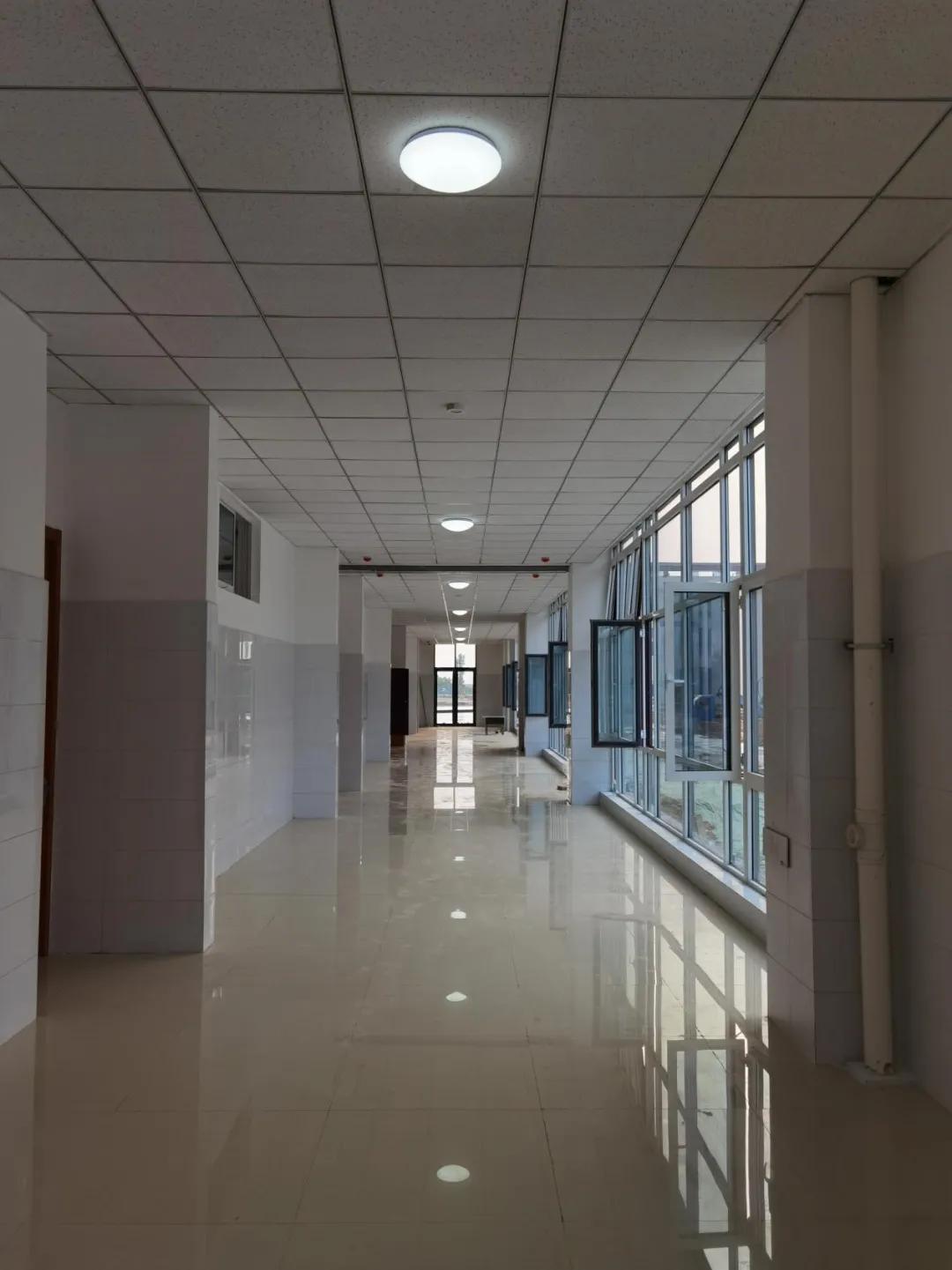 莘县最新短期招聘信息,时代的脉搏与地方的脉动同步更新