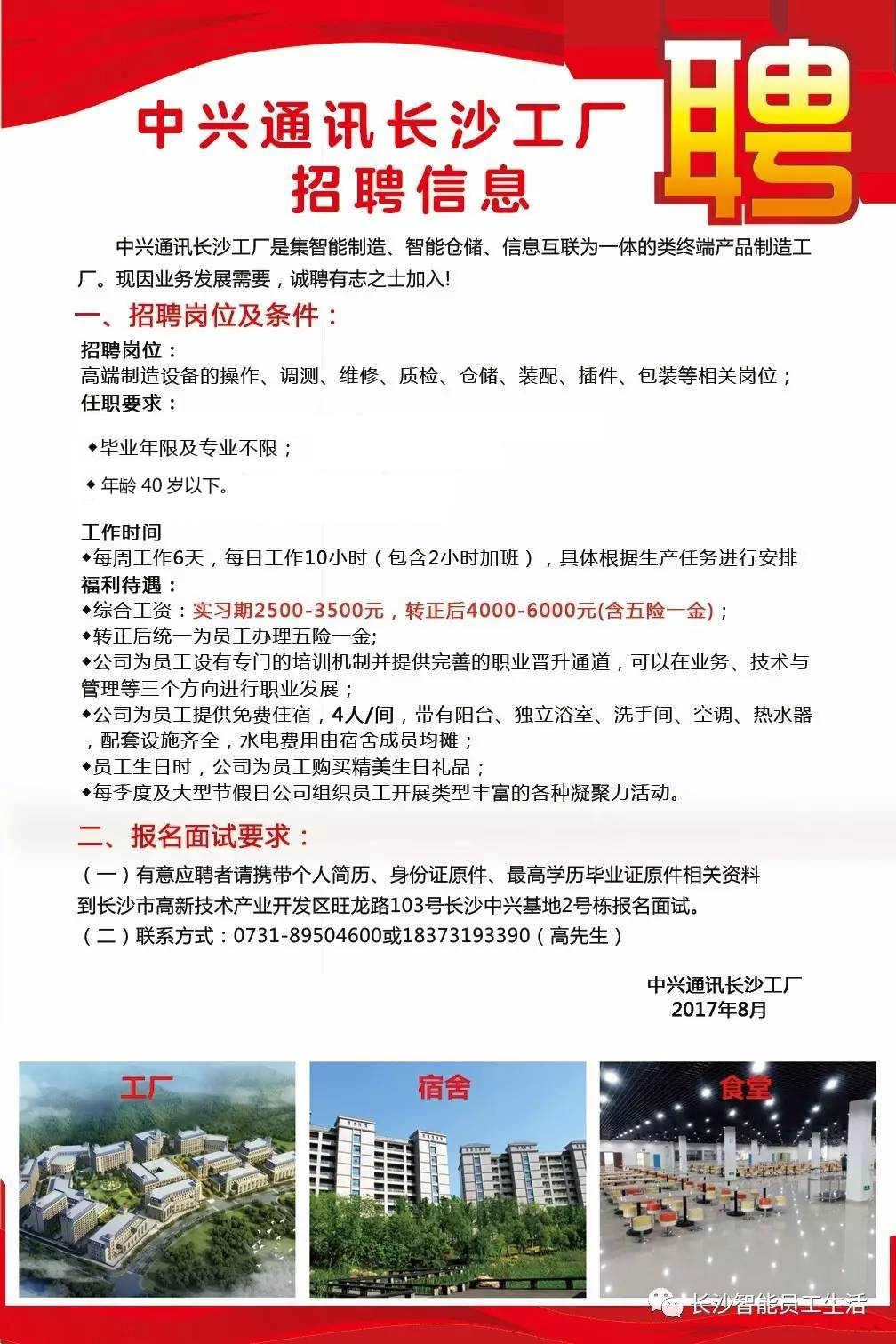 深圳中兴最新招聘信息揭秘,职场小幸运的日常故事开启招聘大门