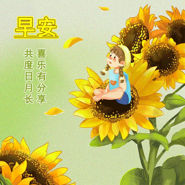 最新动态早上好图，独特日常问候方式