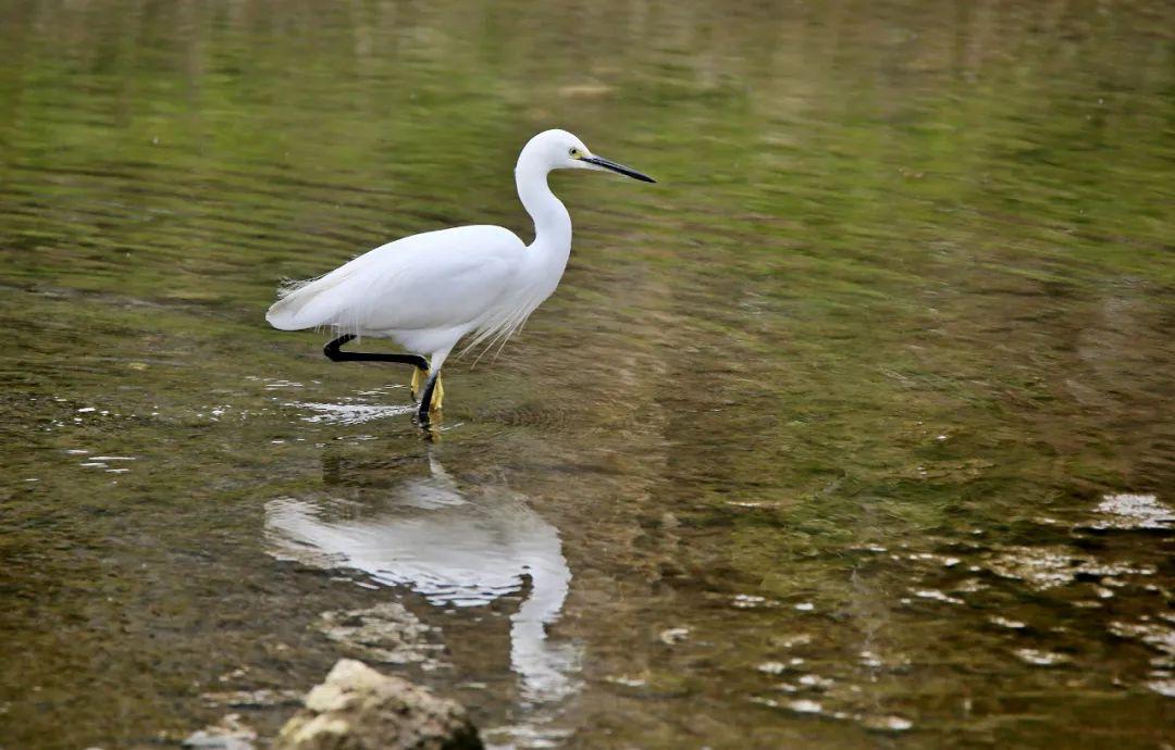 桐梓东站科技引领未来,全新高科技产品亮相亮相站