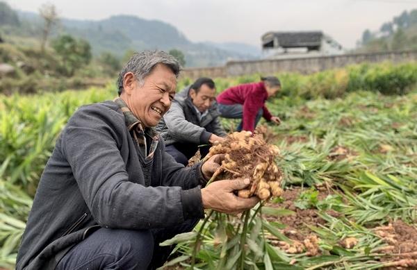 贵州桐梓九坝最新图片欣赏✨