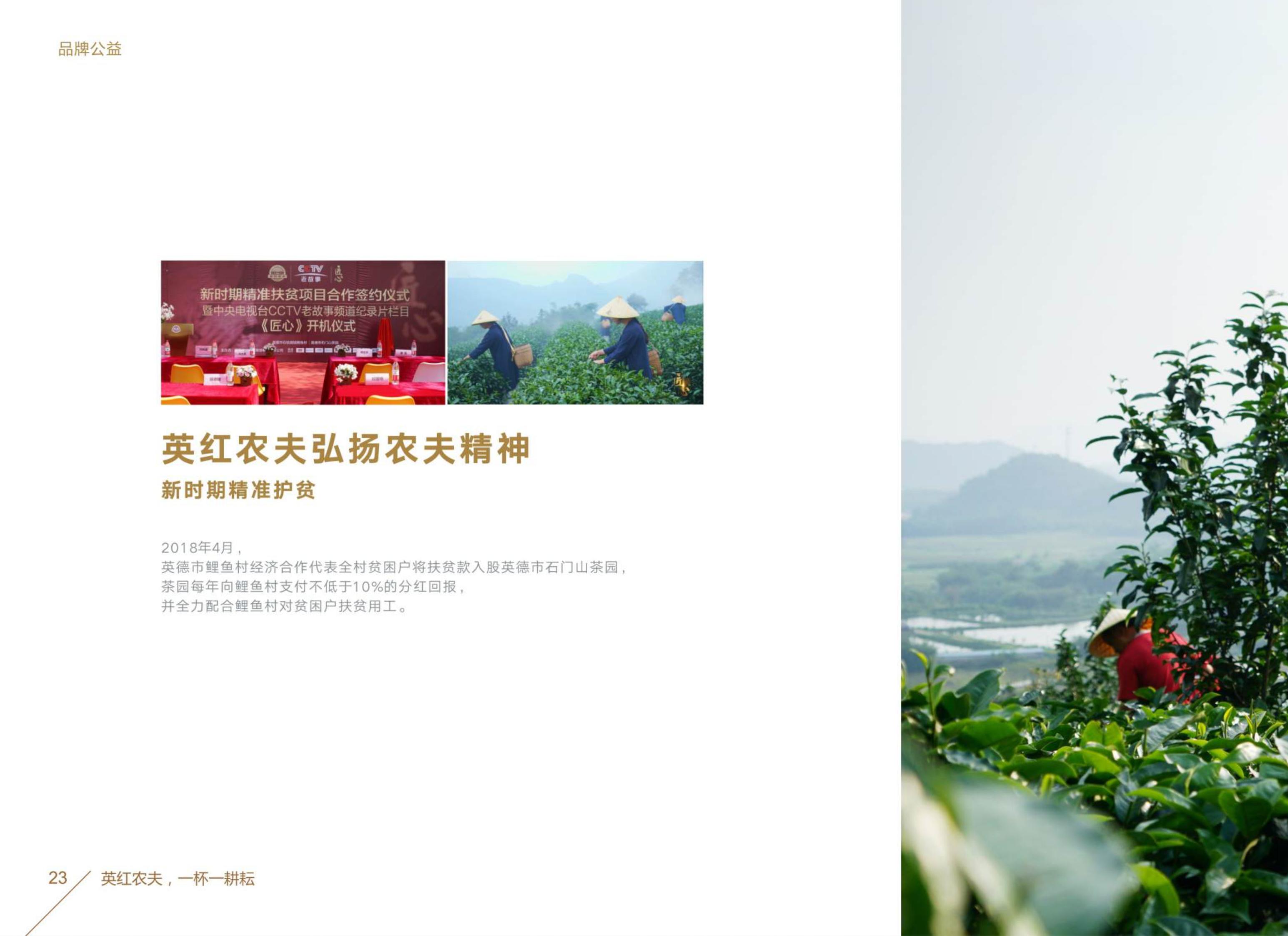 红英科技农业的最新动态,变革中的力量与成就感的源泉