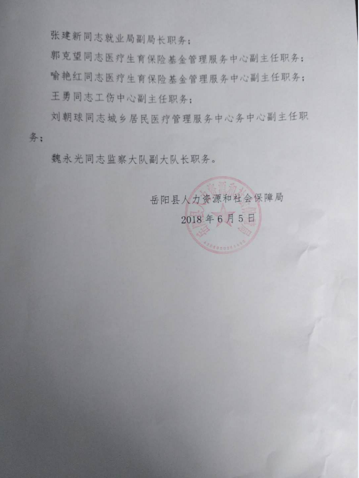 岳阳政府人事大调整，科技引领未来，智能管理新篇章开启