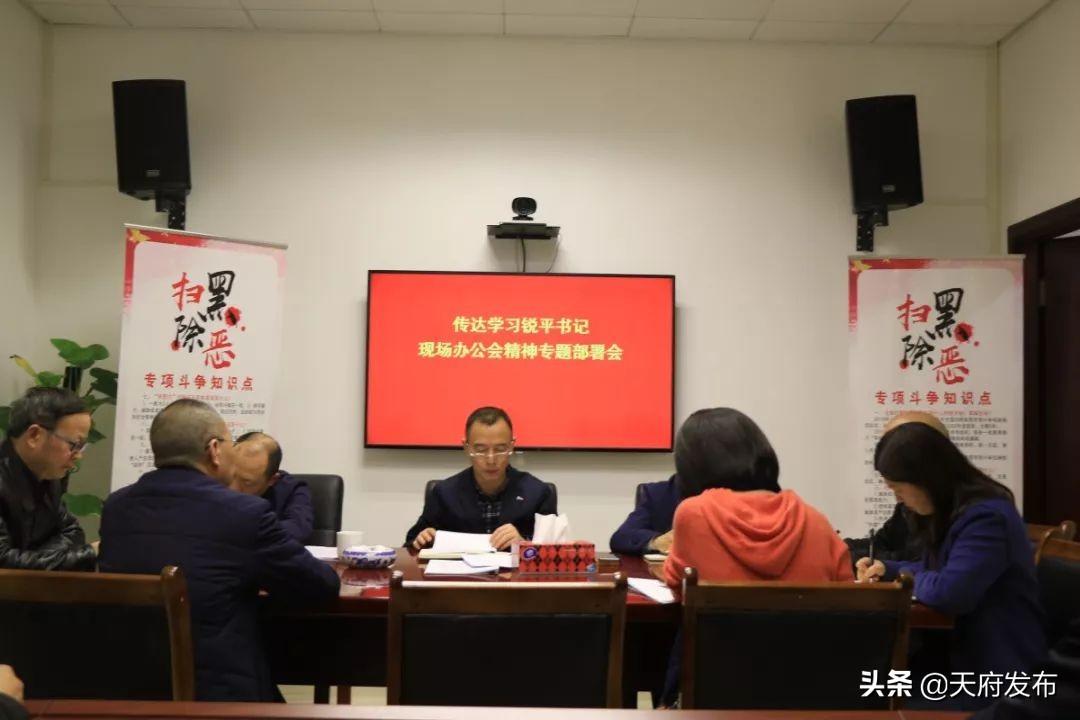 成都直管区最新动态，一种观点的深度分析与阐述