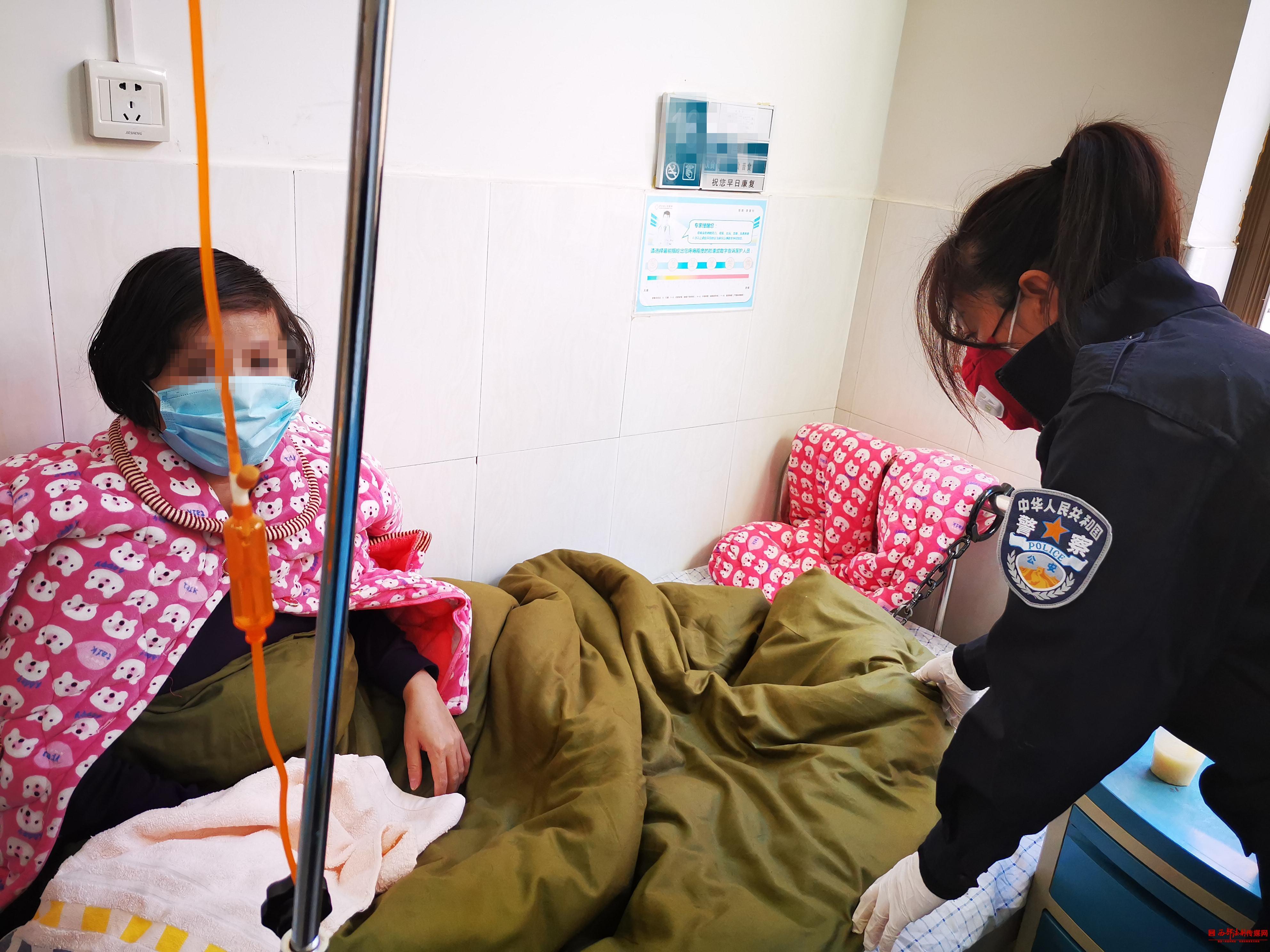 吴定高速最新情况详解,最新进展与指南